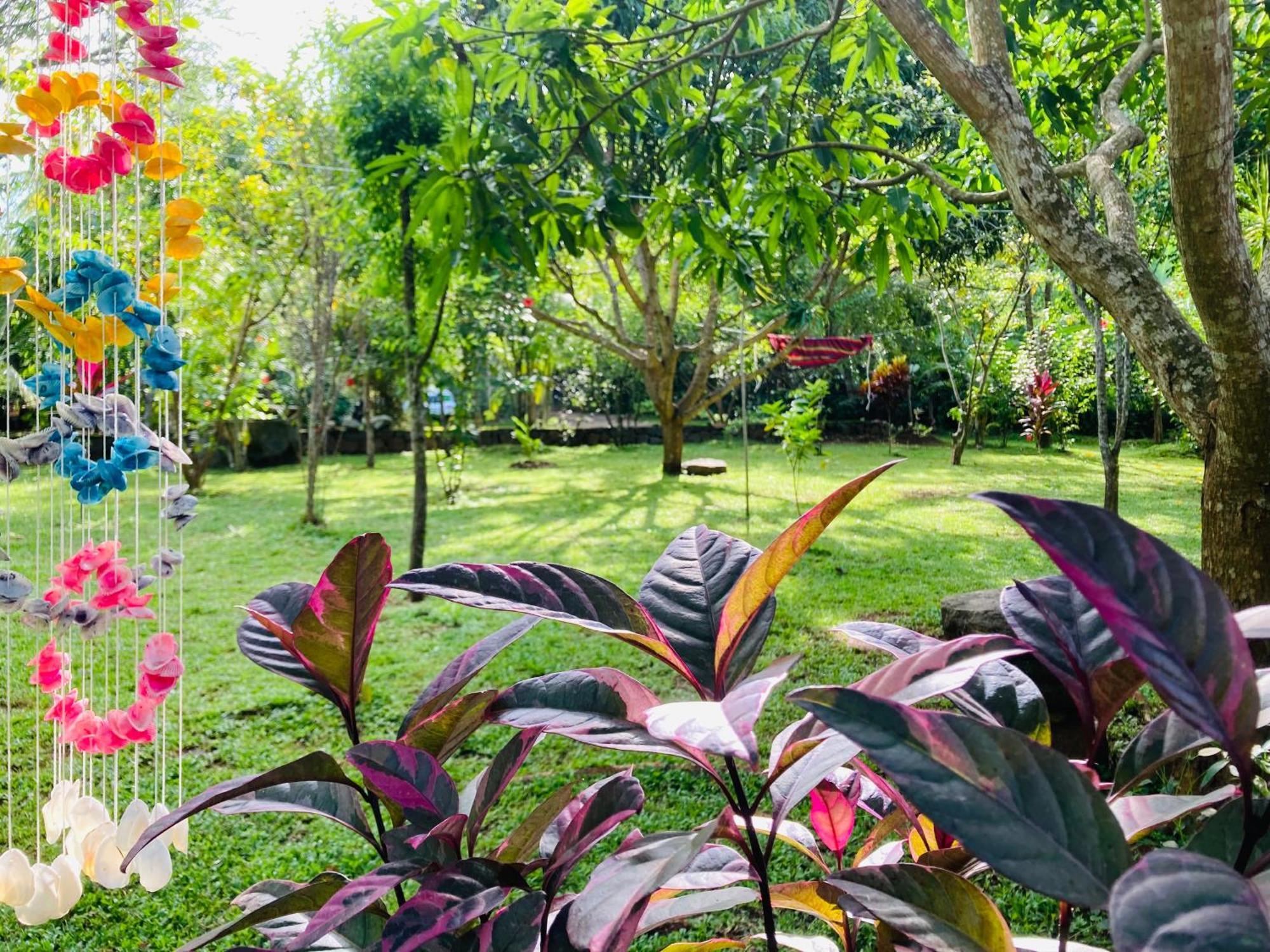 Suncity Privacy Cottages Udawalawe Kültér fotó