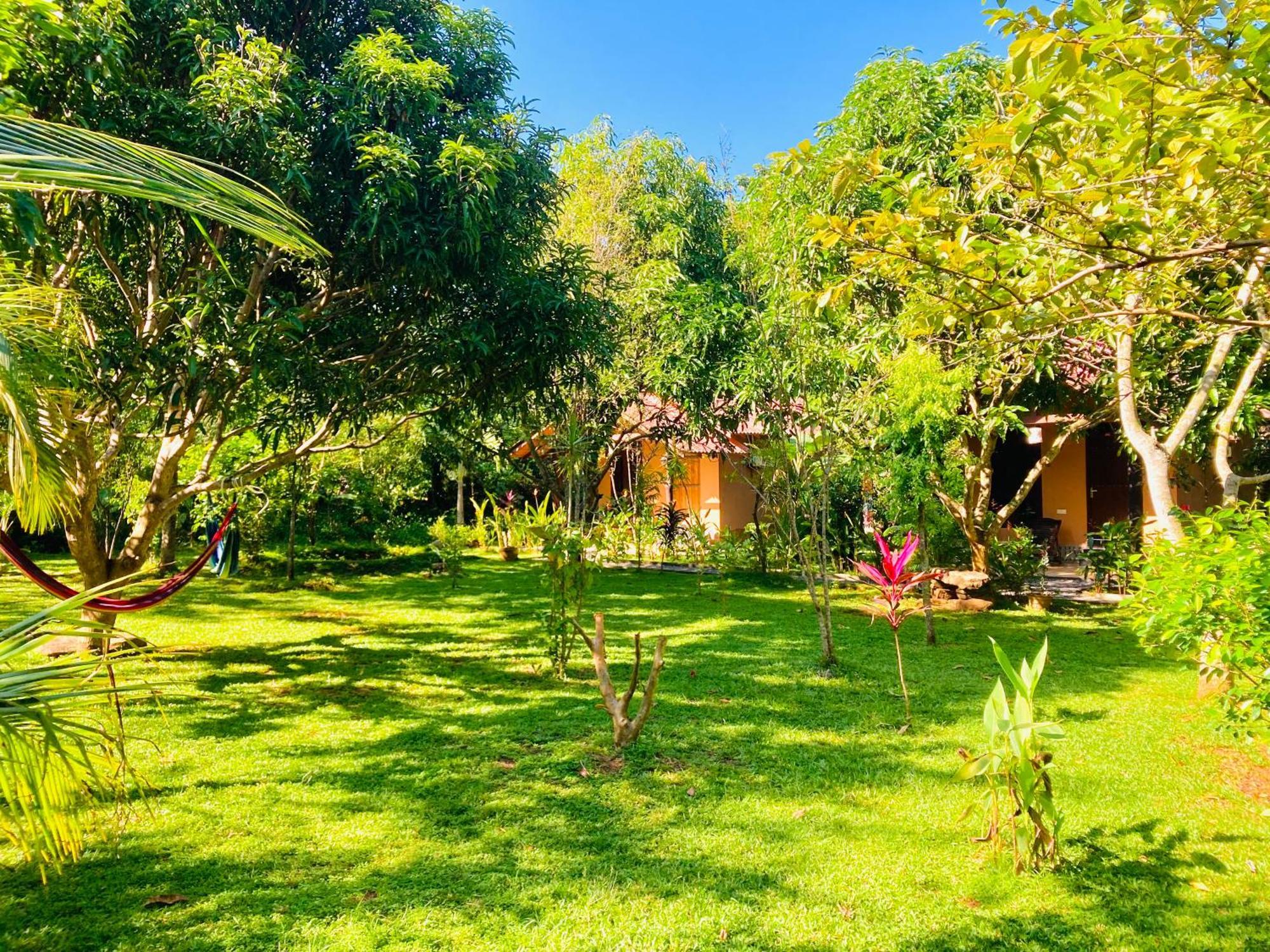 Suncity Privacy Cottages Udawalawe Kültér fotó